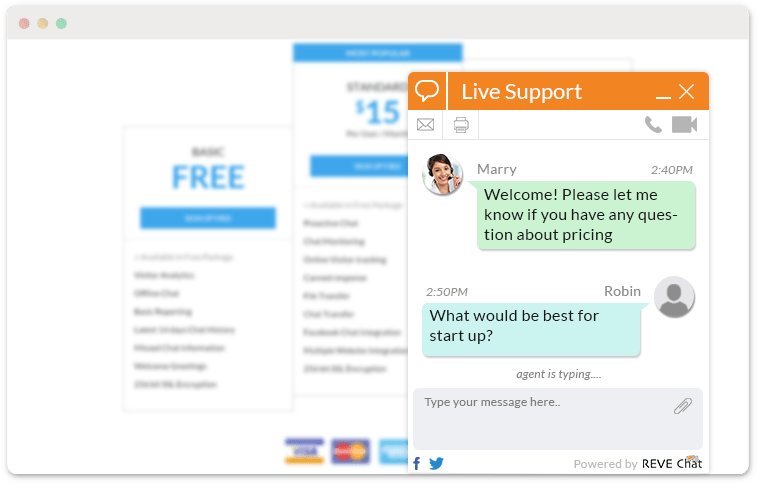 Pricing - Proactive chat triggers